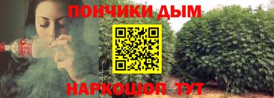 дурь Пугачёв