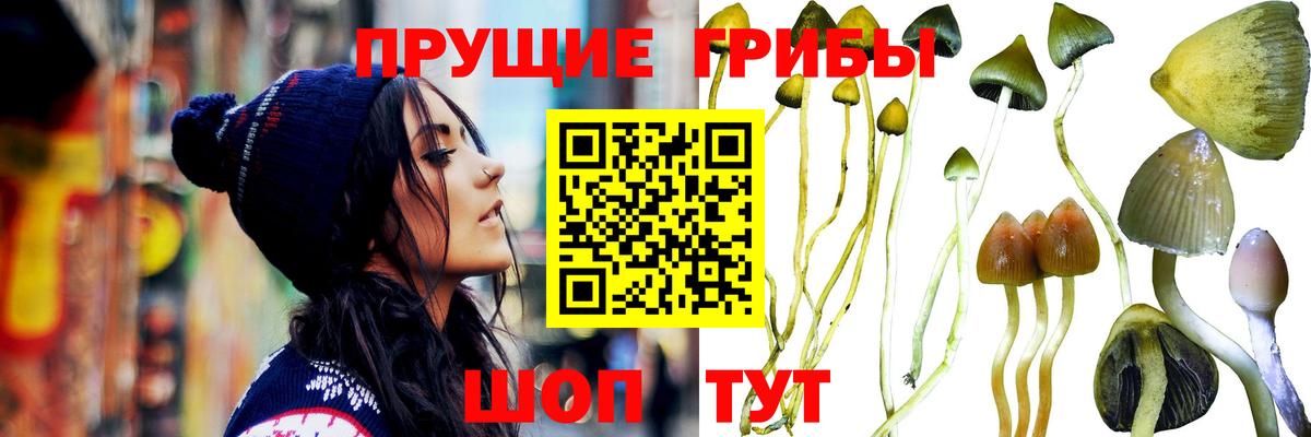 Псилоцибиновые грибы мицелий  Галлюциногенные грибы Psilocybine cubensis  Вход с VPN  Киржач 